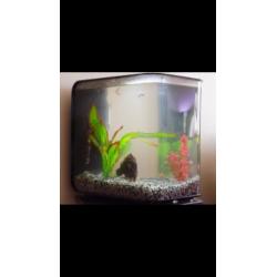 Large biOrb Flow Fish Tank