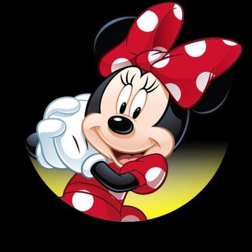 Meet Mickey and Minnie Mouse