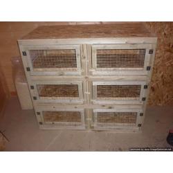 indoor rabbit/guinea pig hutches