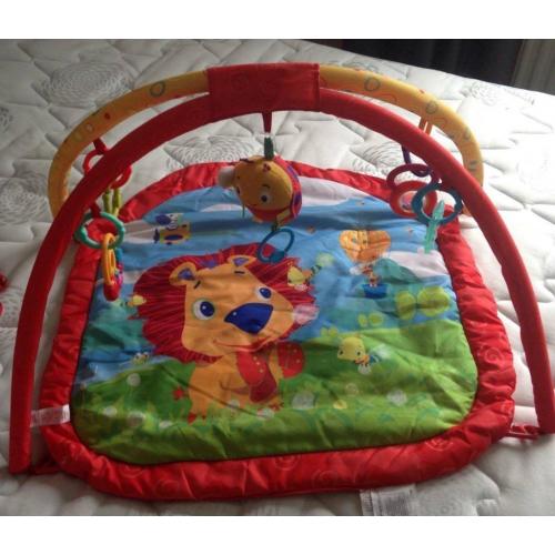 Baby play mat /activity gym