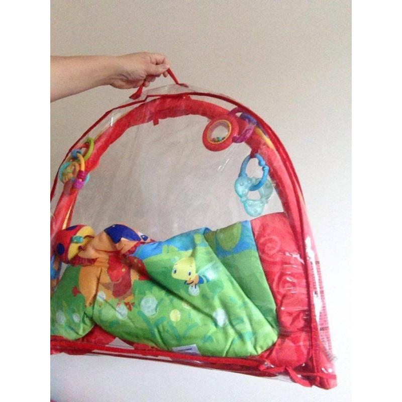 Baby play mat /activity gym