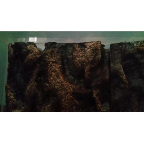 Vivarium