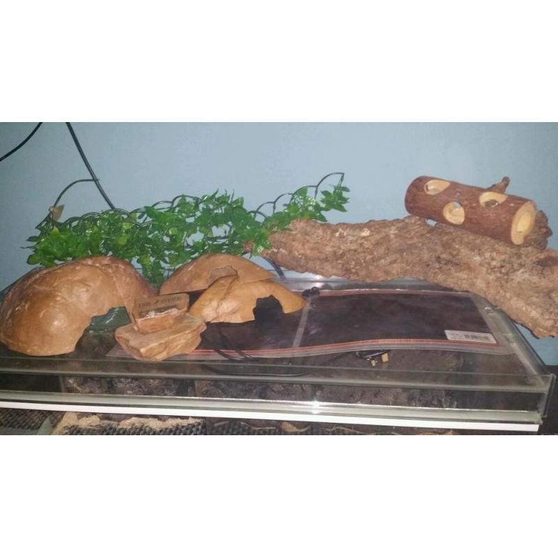 Vivarium