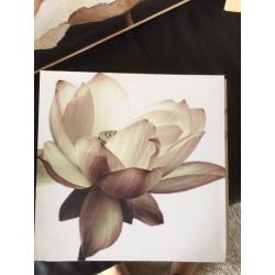 Pictures
