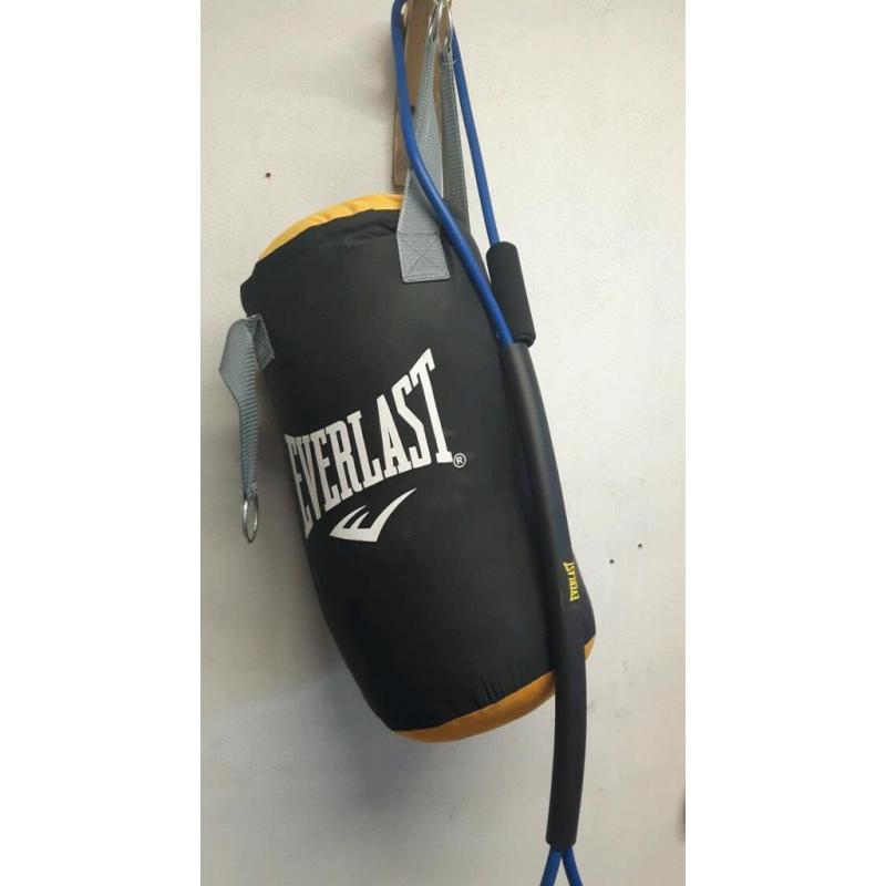 everlast punch bag