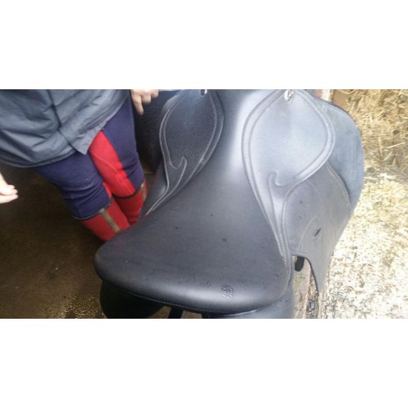 Shires optimus saddle 17.5