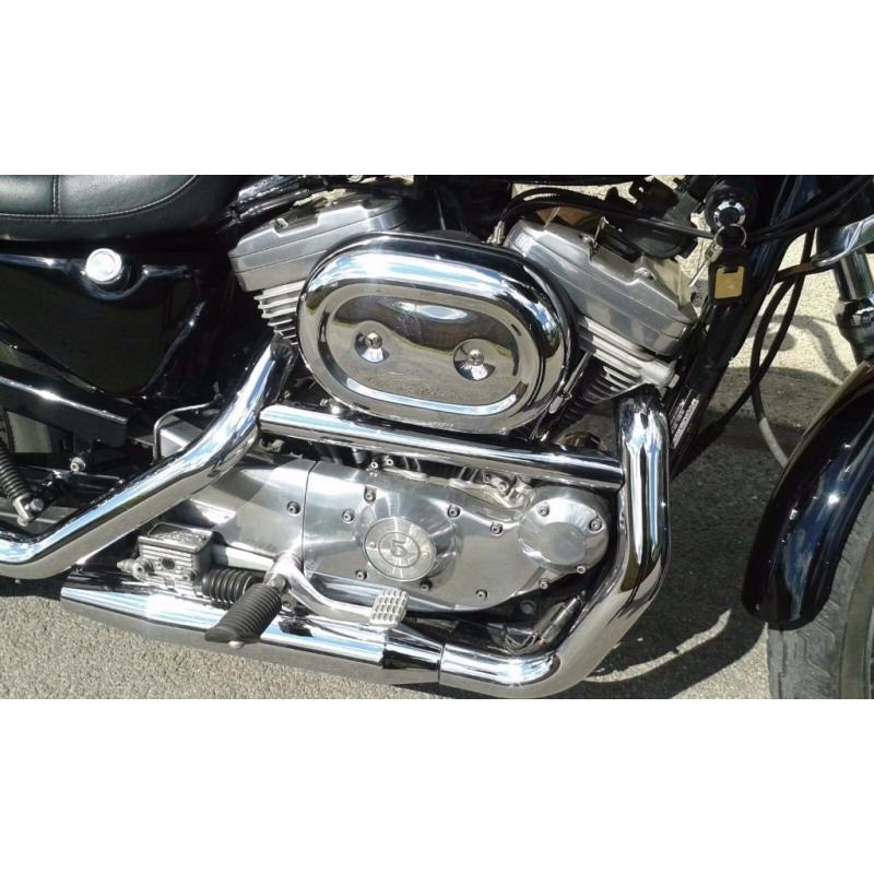 Gorgeous Harley Sportster 883