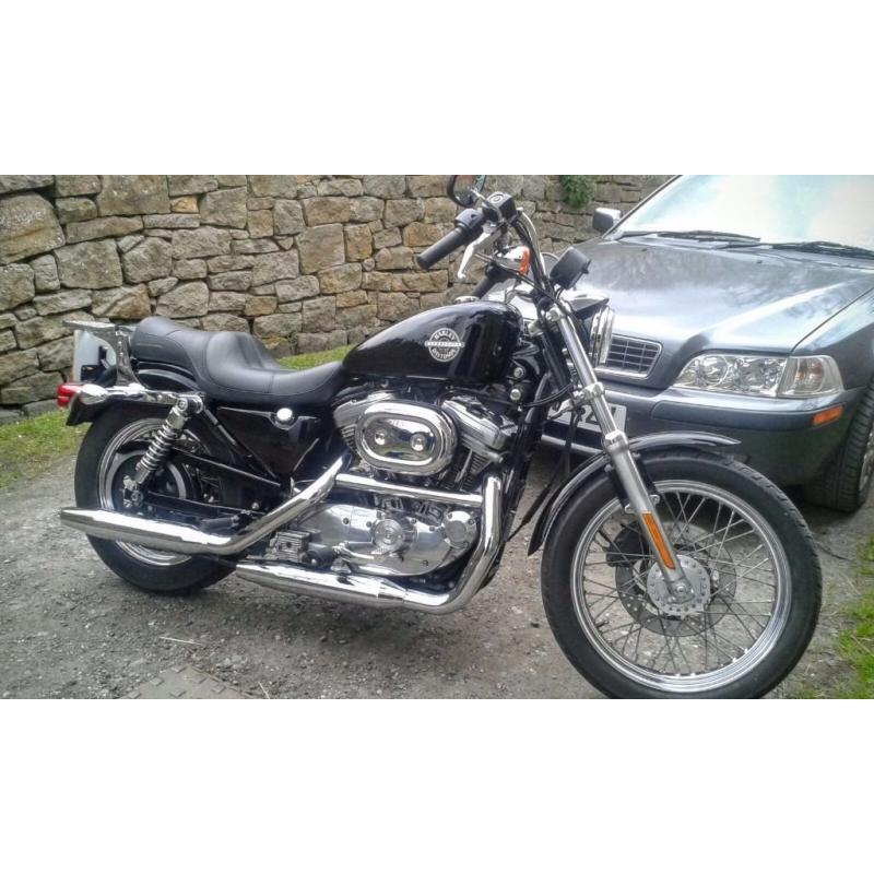 Gorgeous Harley Sportster 883