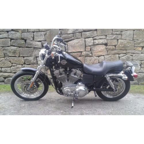 Gorgeous Harley Sportster 883
