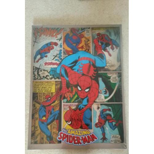 Spiderman canvas print