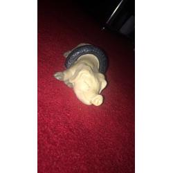 Piggin collection