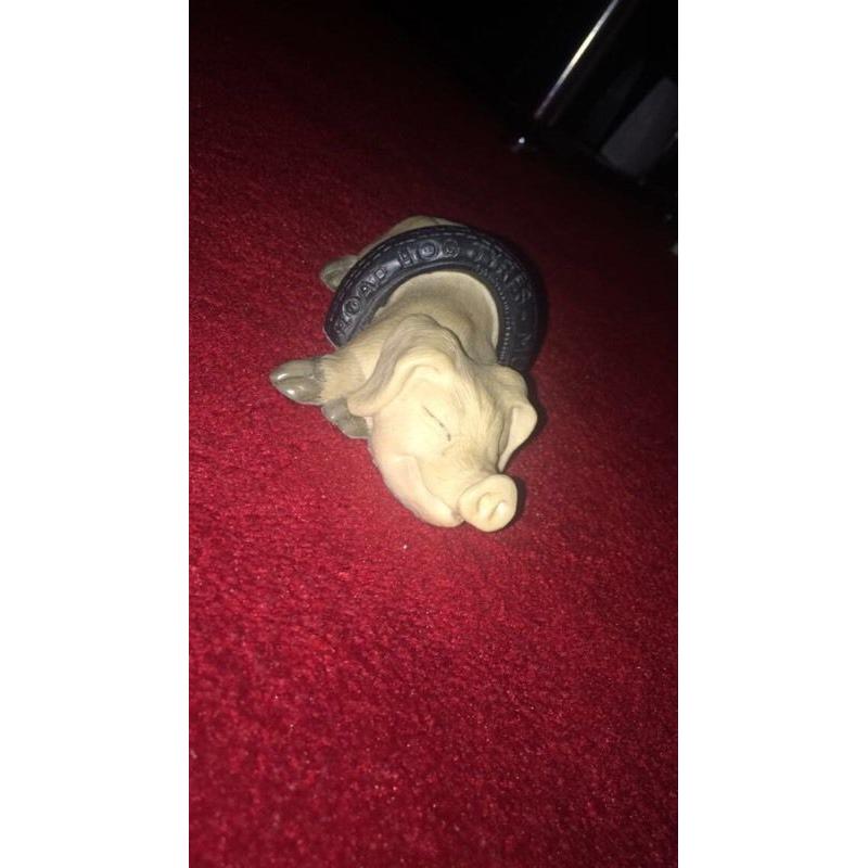 Piggin collection