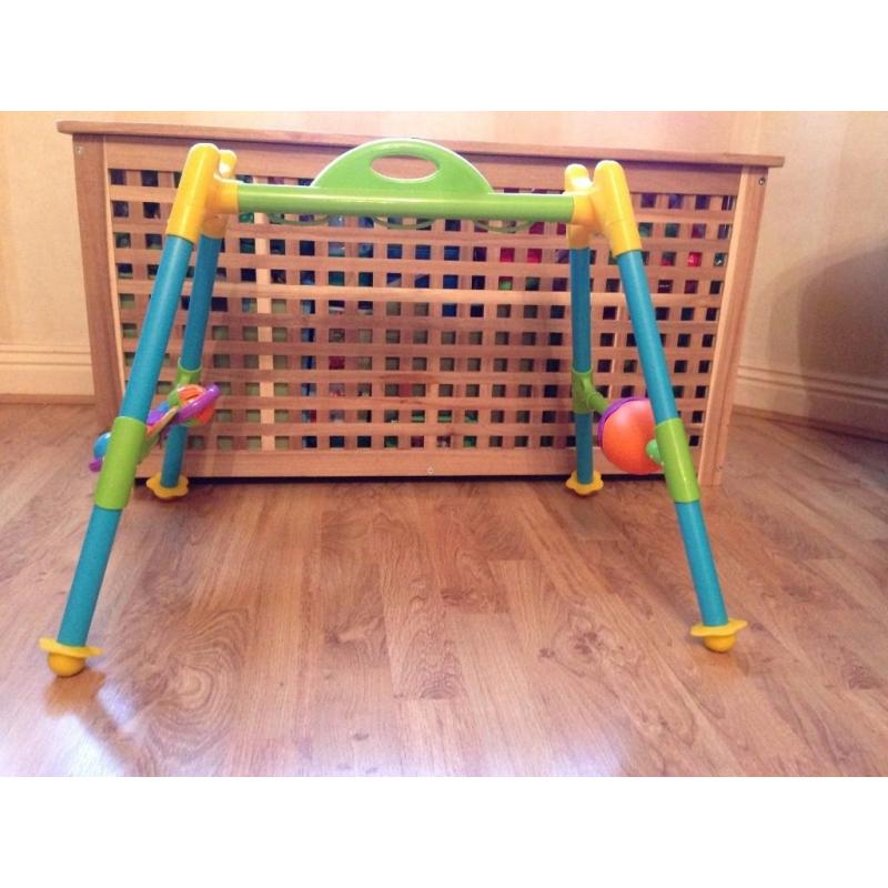 Baby's first playgym - keeps them entertained and stimulated, builds upper body and motor skills