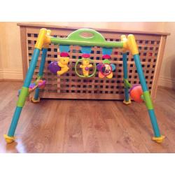Baby's first playgym - keeps them entertained and stimulated, builds upper body and motor skills