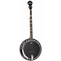 EXPERIENCED BLUEGRASS COUNTRY MUSICIAN AND SINGER LOOKING FOR PAID GIGS