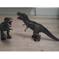 TRex Dinosaur