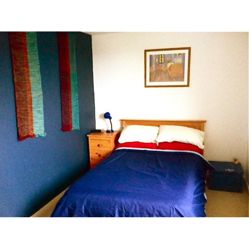 Room in central flat