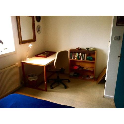 Room in central flat