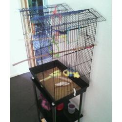 Budgie with cage and accessories.