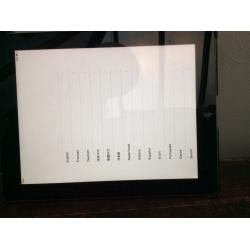 Apple I Pad2 16g in great condition