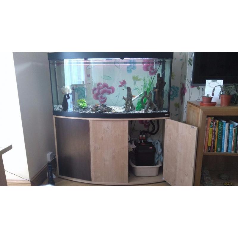 Fish Tank and Tropical Fish