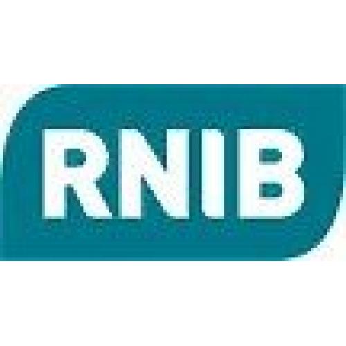 RNIB Activity Buddy - Wales 10517