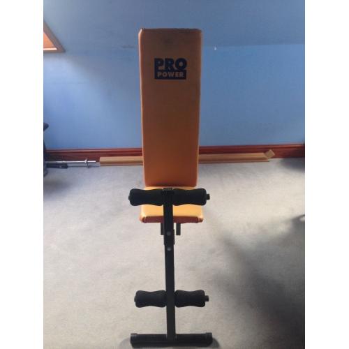 PRO POWER Dumbbell Bench