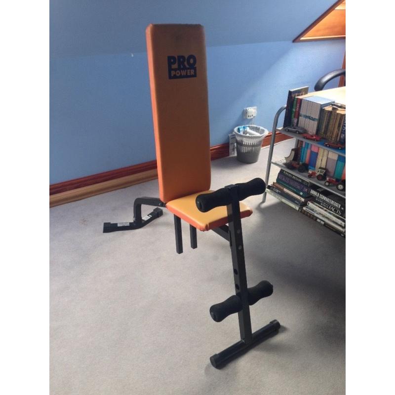 PRO POWER Dumbbell Bench