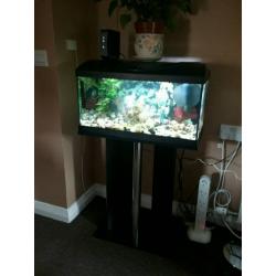 Elite 54L Aquarium + Stand