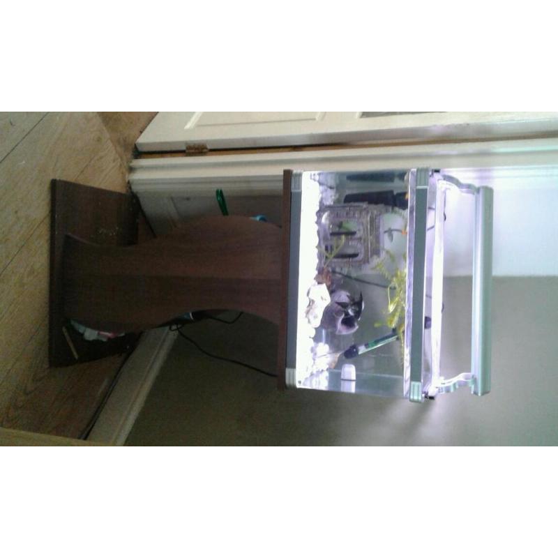 Fish tank with stand