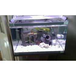 Fish tank with stand