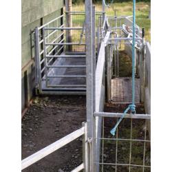 COMPLETE SHEEP HANDLING SYSTEM