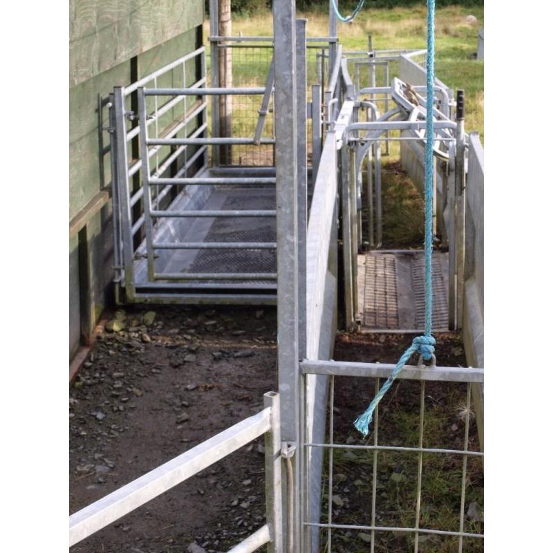 COMPLETE SHEEP HANDLING SYSTEM