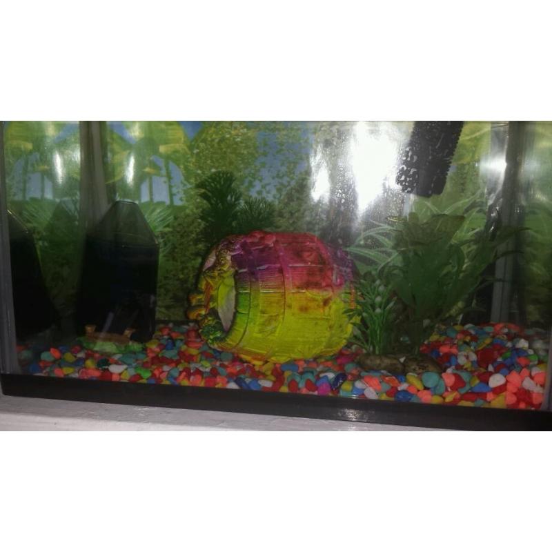 Fish tank