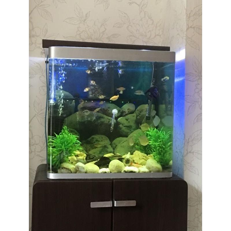 Fish tank