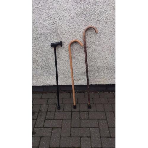 walking sticks