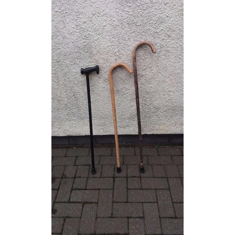 walking sticks