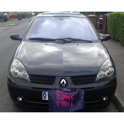 Paint wanted