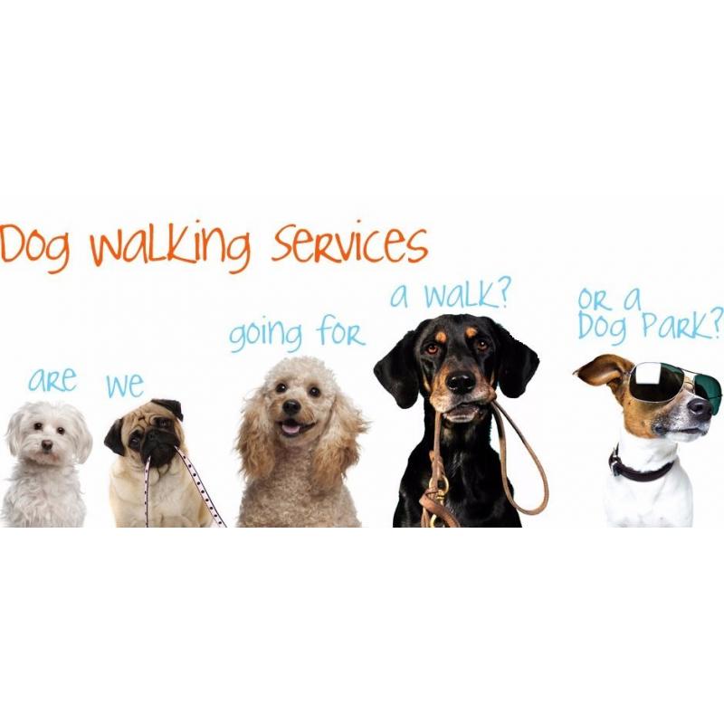 Dog Walkers