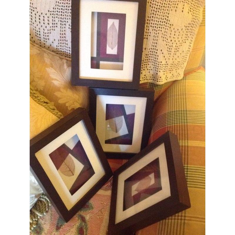 Set of 4 framed pictures