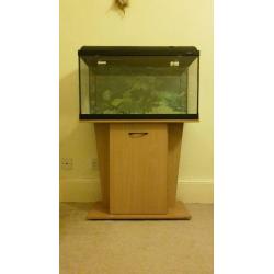 2.5ft light glow fish tank with accessories