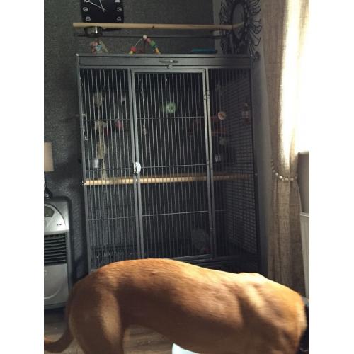 Large Parrot Cage