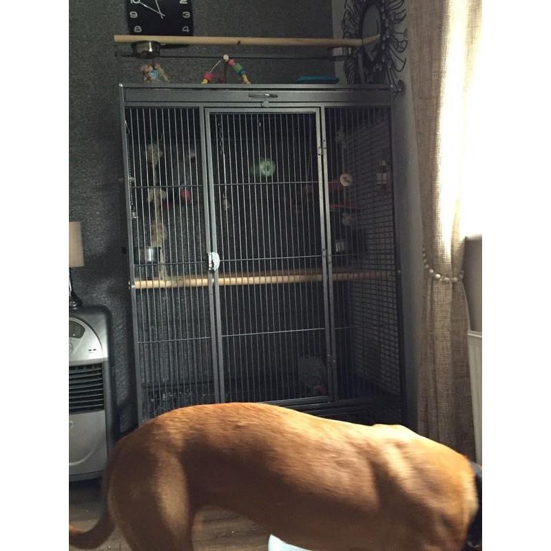 Large Parrot Cage