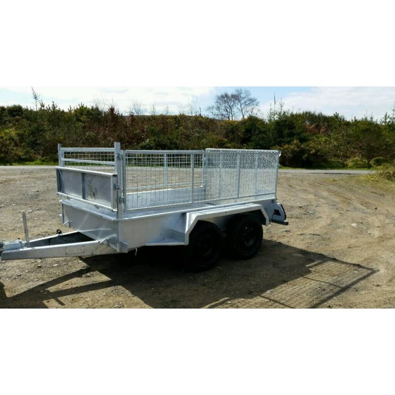 8 X 5 twin axle trailer stamped mesh sides removable Cookstown