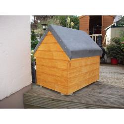 New Dog House