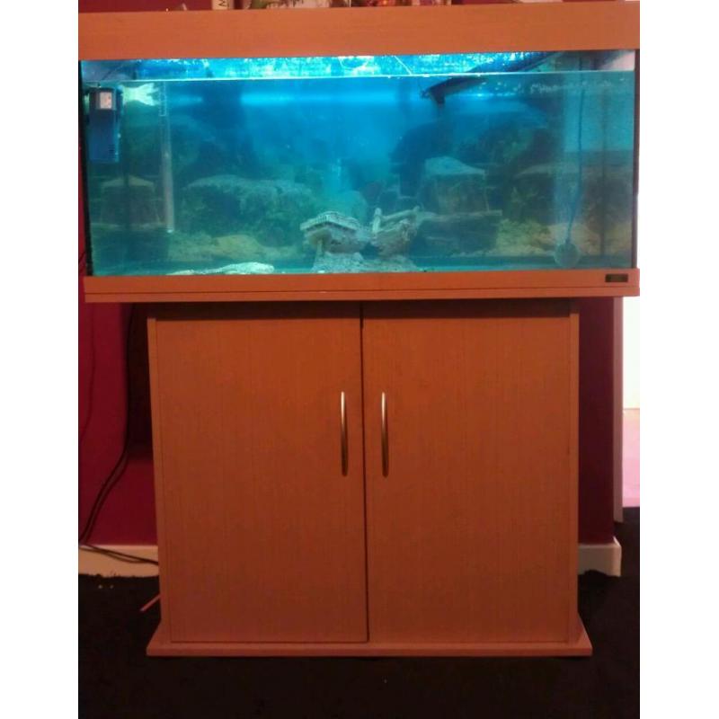 Juwel fish tank for sale