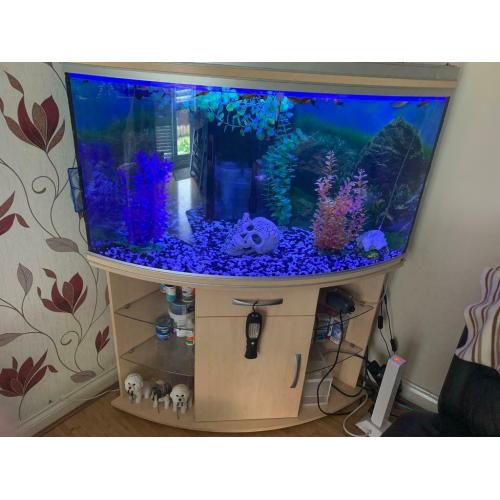 Corner tank