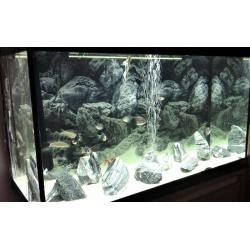 Fluvial aquarium full set up only months old