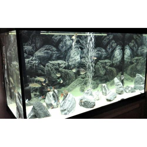 Fluvial aquarium full set up only months old