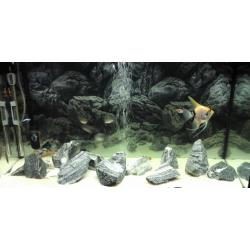 Fluvial aquarium full set up only months old